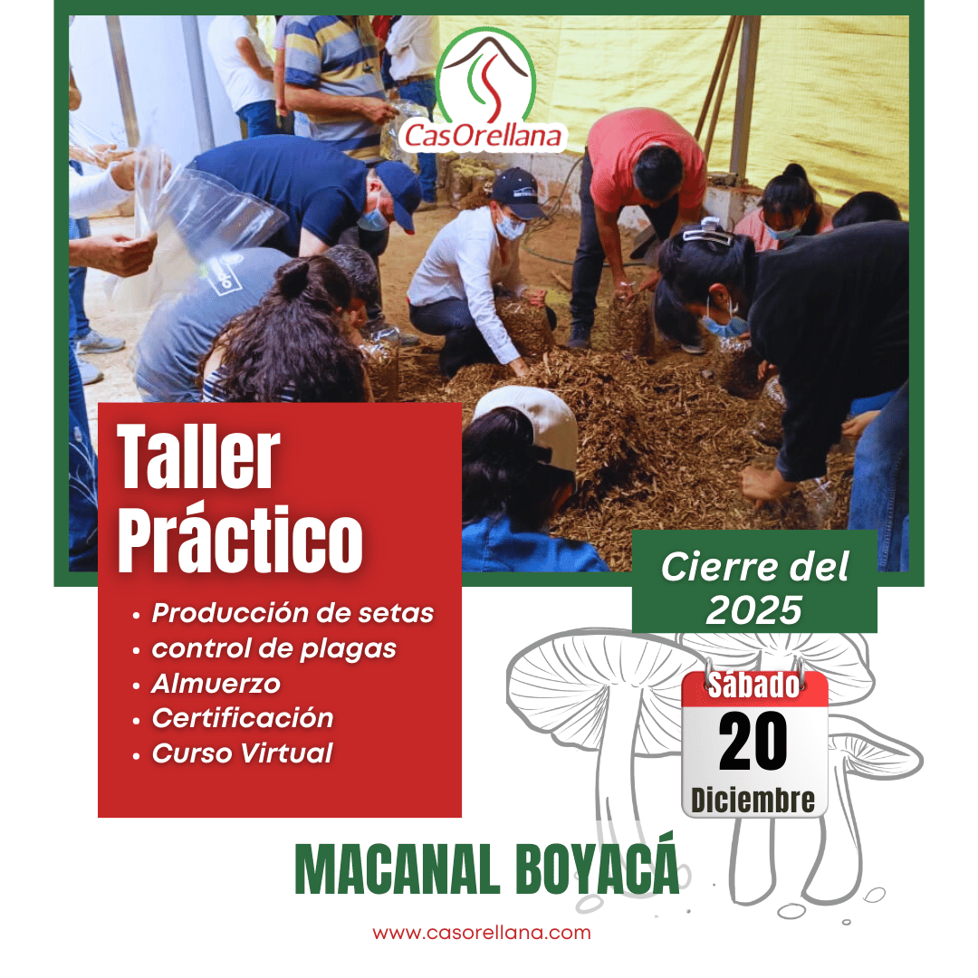 capacitación practica macanal boyacá producción de setas