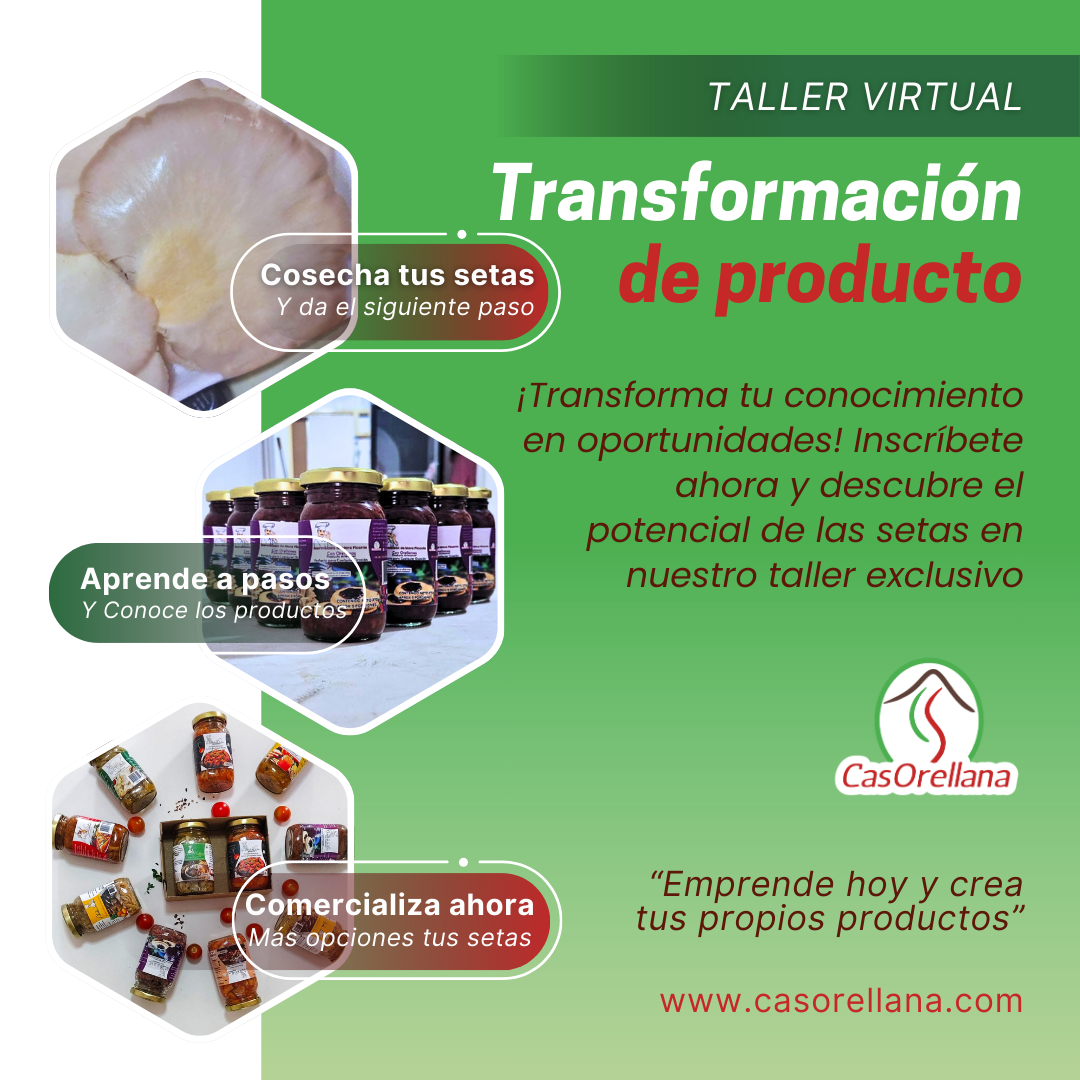 transofrmación de producto